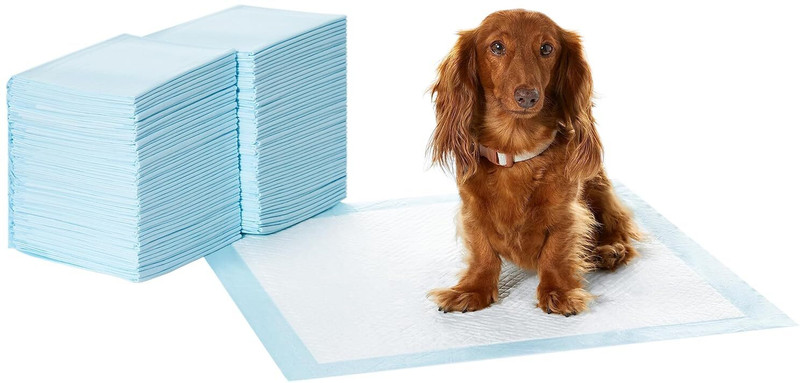 JNONI PADS QUICK-DRY Disposable Dog Diapers(Pack of 10 XL)
