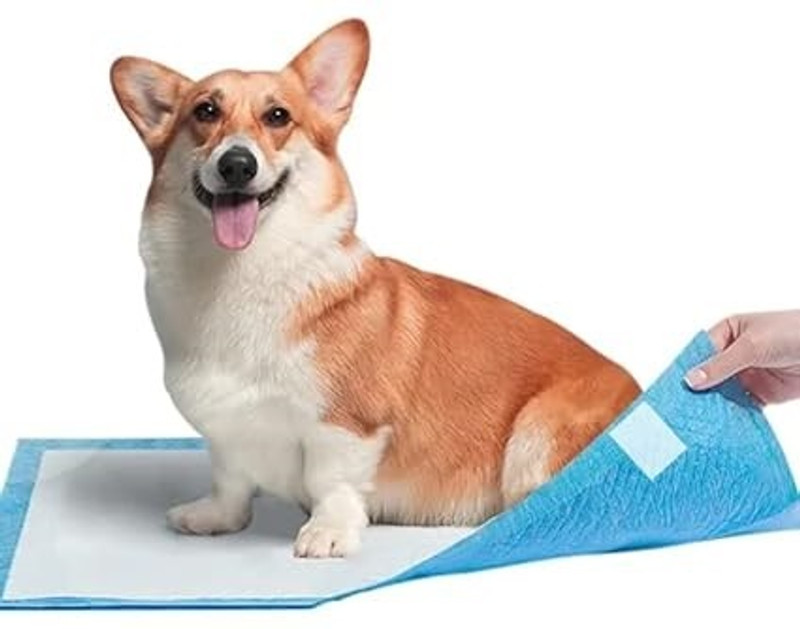 JNONI Absorbent/Suitable for Puppies/Dog-XXl Disposable Dog Diapers(Pack of 30 XXL)