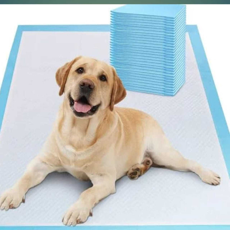 DRK Shop Mart Pee Pads for Dogs,Pet and Puppy Training Pads,Water Proof Dog Pee pad- 60x90 cm, Disposable Dog & Cat Diapers(Pack of 10 XL)