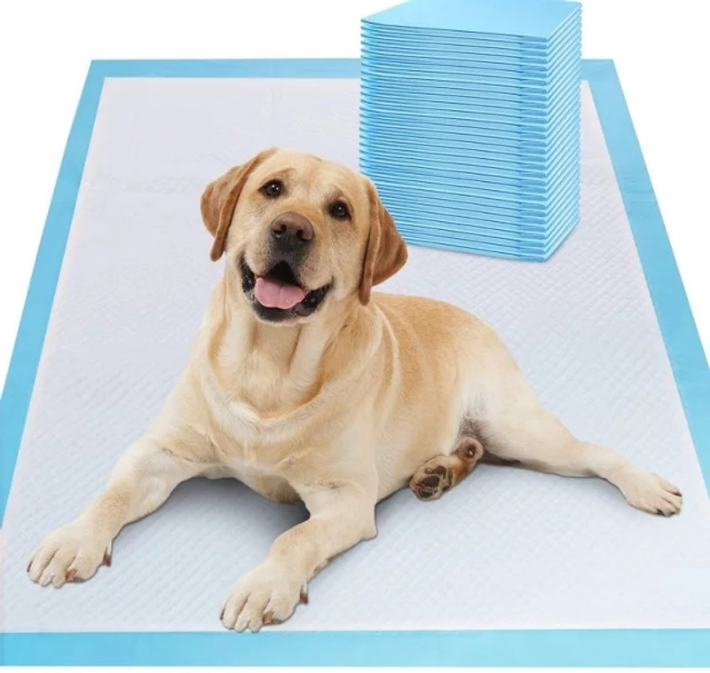 THE PET BEING 10 pcs. Disposable leakage proof Sheets for Adult Dogs/Puppies Disposable Dog Diapers(Pack of 10 L)