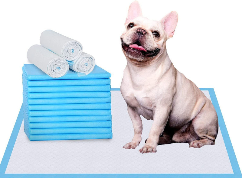 Cookitchen Training Pad for Dogs Cats and Puppies Extra Absorbent Urine mats Poop & Pee Disposable Dog & Cat Diapers(Pack of 10 XL)