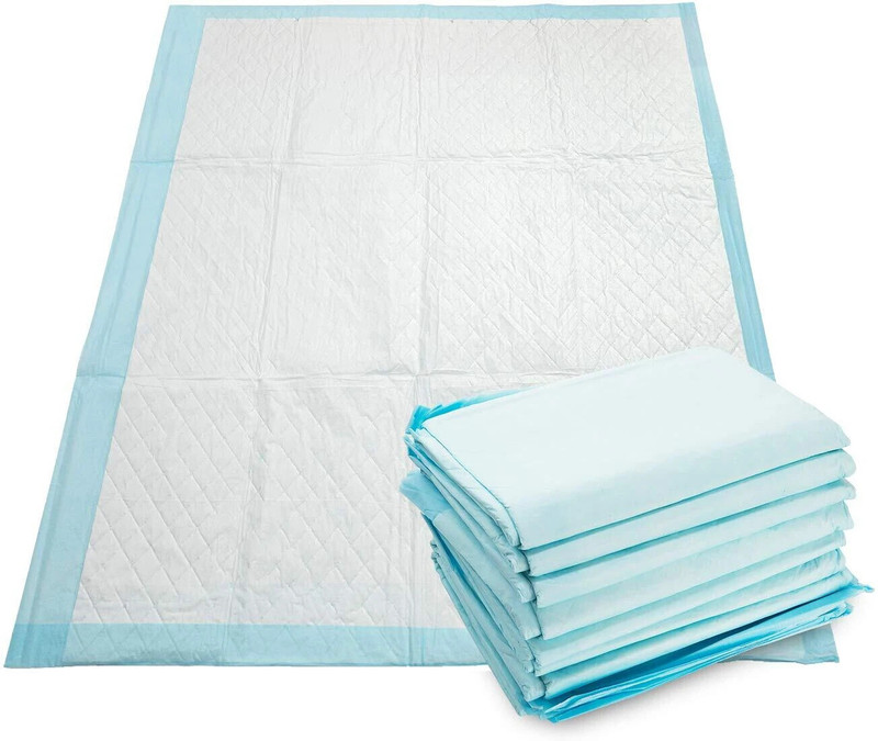 HAMAZZ Premium Pet Training Pads, 60x90 cm, Leak-Proof & Odour Control Disposable Dog & Cat Diapers(Pack of 10 L)