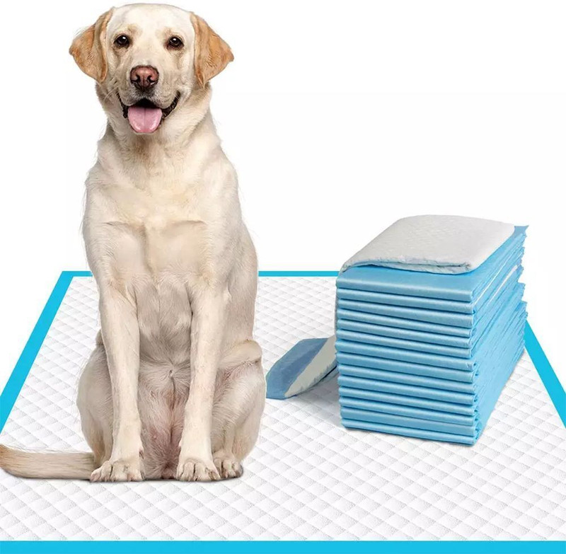 Patch and Marshall XL Puppy Training Pee & Potty Pads | Rapid Dry Surface & Absorbent Core ,60 Pads Disposable Dog & Cat Diapers(Pack of 60 XL)