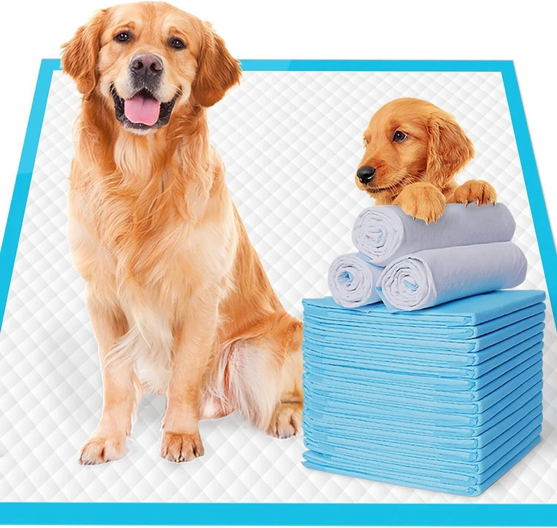 PETBEA Leak-Proof Quick Drying Pee Pads Bulk Pack Disposable Dog & Cat Diapers(Pack of 50 XL)