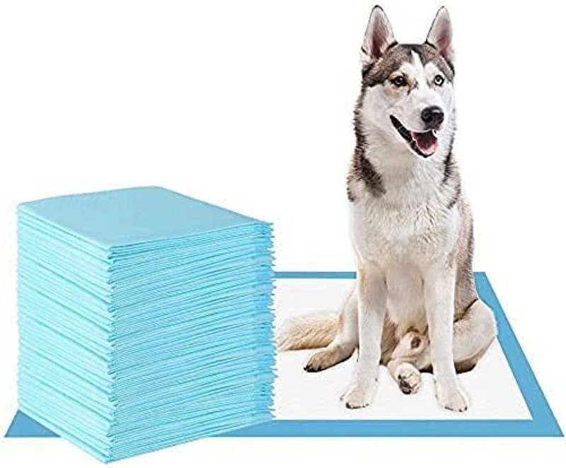 Cute paws cp puppy traning pads(40*60) 10 Disposable Dog & Cat Diapers(Pack of 10 XL)