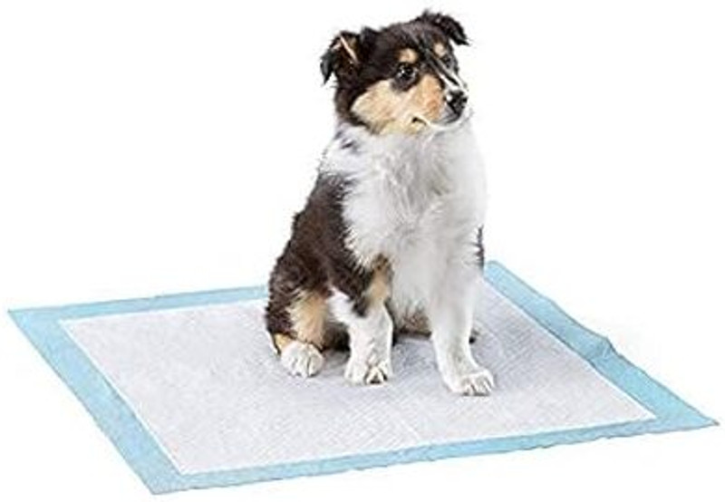 JNONI Dog Pee & Potty Training Pet Pads, Size : XL 60x90 cm, Leak Proof, Rapid Dry Disposable Dog Diapers(Pack of 30 XXL)