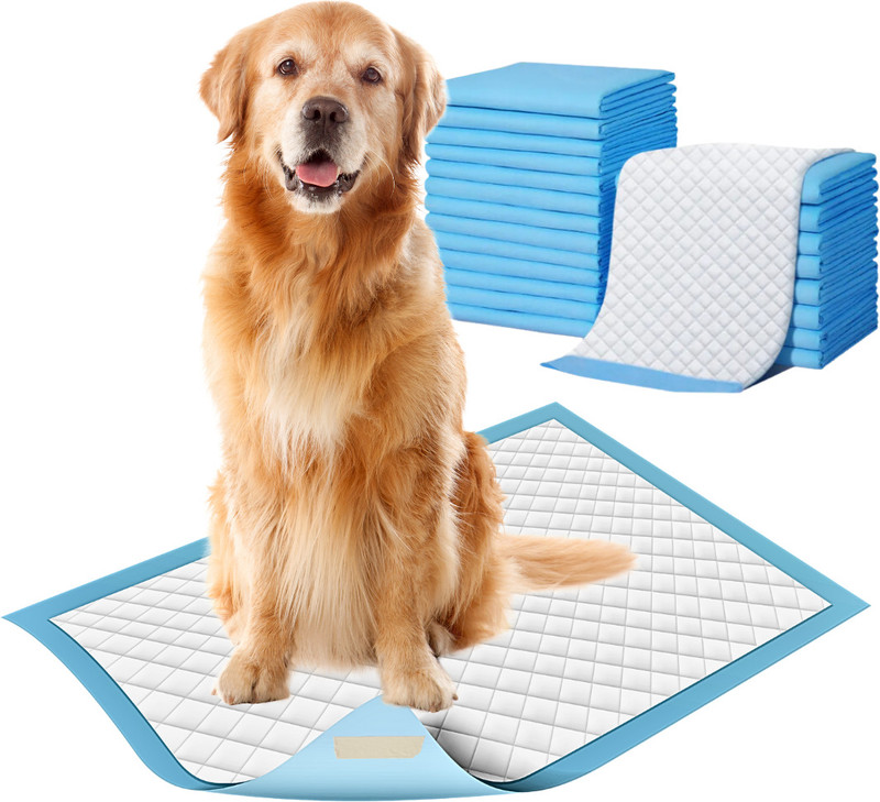 Zoivane 60x90 CM Pee Pads For Dogs & Puppies | Training Pads | Leak-Proof Protection Disposable Dog Diapers(Pack of 30 XL)