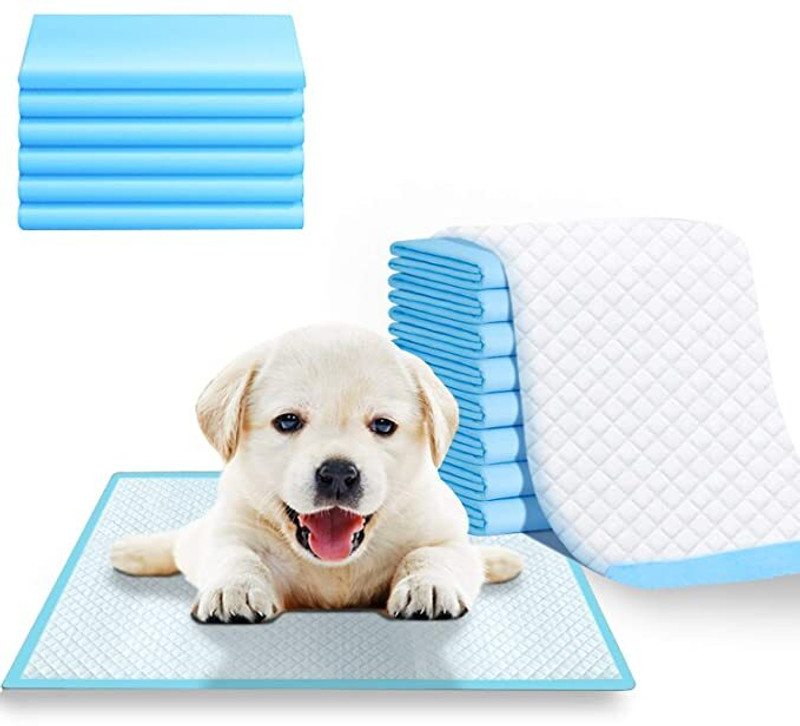 Nihao Hunny NH disposable potty pee pads Washable Dog & Cat Diapers(Pack of 10 XXL)