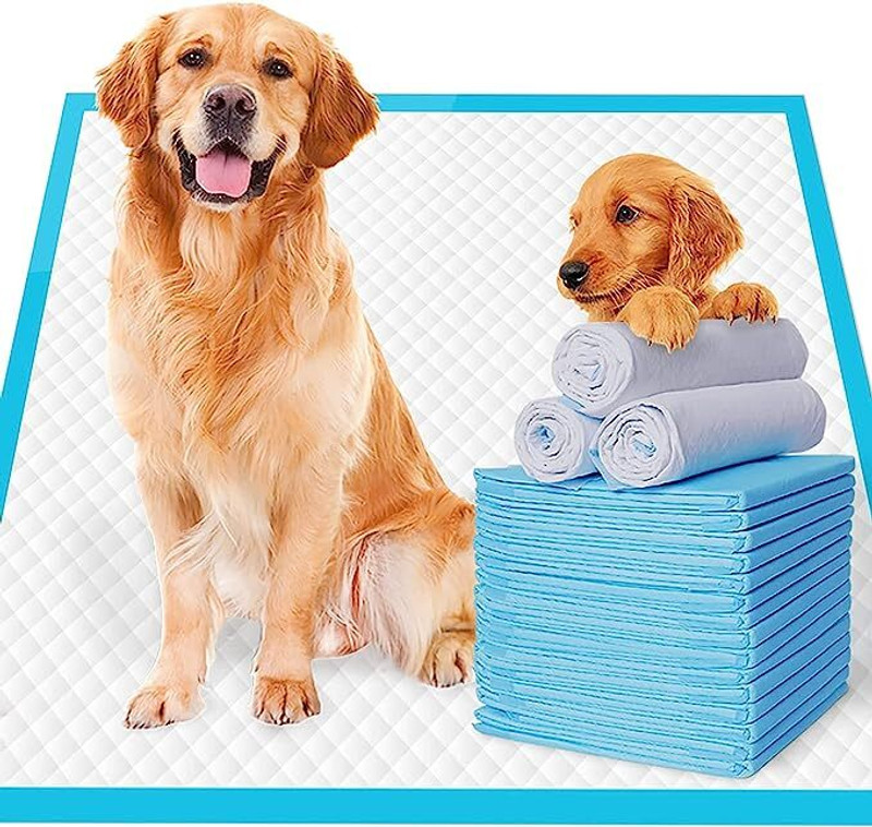 SECOM se-puppy-pad-7 Disposable Dog & Cat Diapers(Pack of 10 XL)