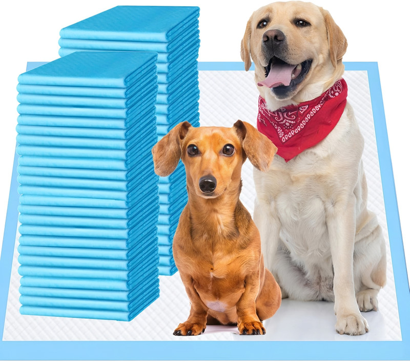 CRUMPY Dog Training Pads (60x90) Cm With Adhesive Floor Tape, Super Absorbent Disposable Dog & Cat Diapers(Pack of 10 L)