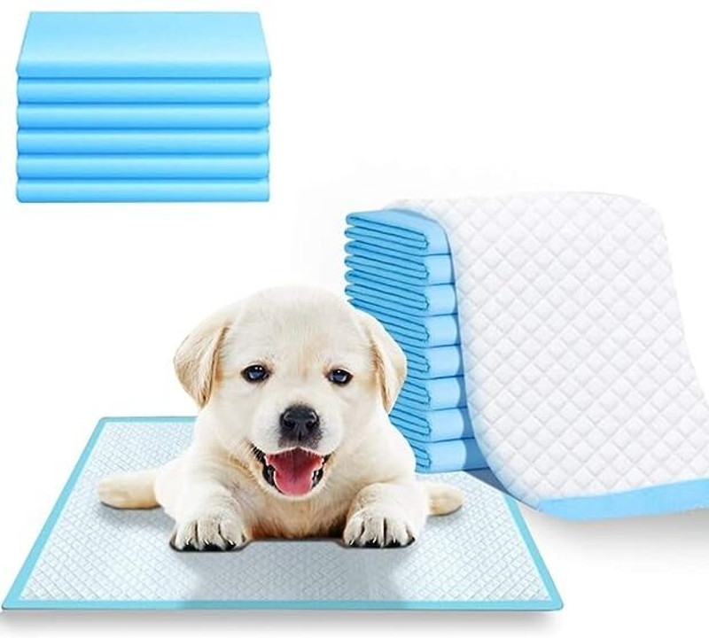 Pet Guard Pee Pad For do g and cat 10 pcs Size -60*90 Disposable Dog Diapers(Pack of 1 L)