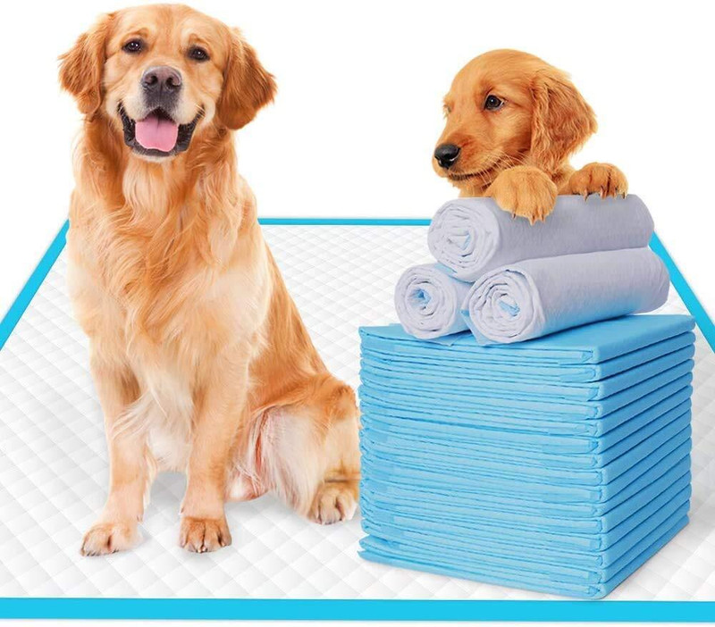 PetJoy Pee& Potty Training Pads for Dogs|Leak-Proof,Quick-Drying-60X90 cm |Pack of 60| Dog Pet Mat