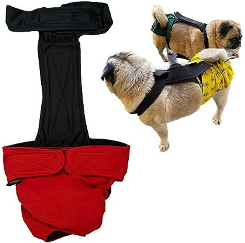 Kitty & The Woof Gang Orange & Black Reversible Heat Pants-Female Dogs-Male Dogs-S Washable Dog & Cat Diapers(Pack of 1 S)