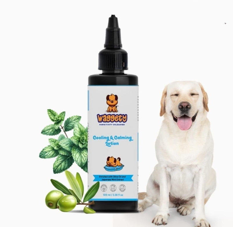 Waggety Dog Lotion_001 Pet First Aid Kit(1 Pieces)