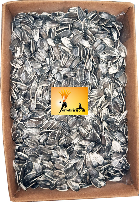 Parrots Wizard Imported Large Size Sunflower Seeds for Gray Parrot,Indian Parrot, Macaw,Cockatoo and Exotic Birds 0.45 kg Dry Adult Bird Food