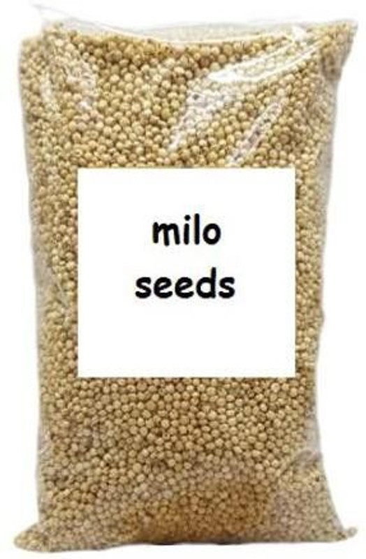 OrchidWala Premium Quality Bajra Seeds for Birds (Perl Millet) 2 kg Dry Adult, Young, Senior Bird Food