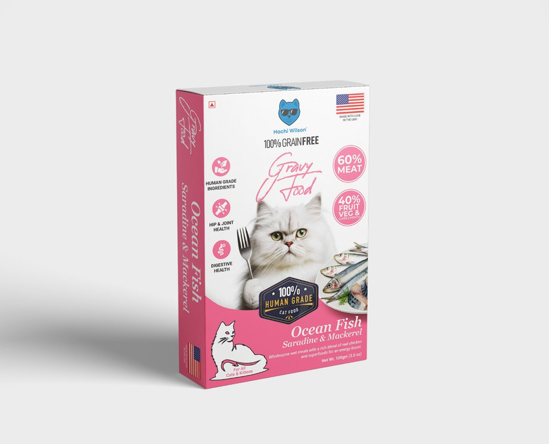 Hachi Wilson 100% Grain Free Adult and Kitten 100gm Ocean Fish Gravy Food Cat Fish 0.1 kg Wet New Born, Adult Cat Food