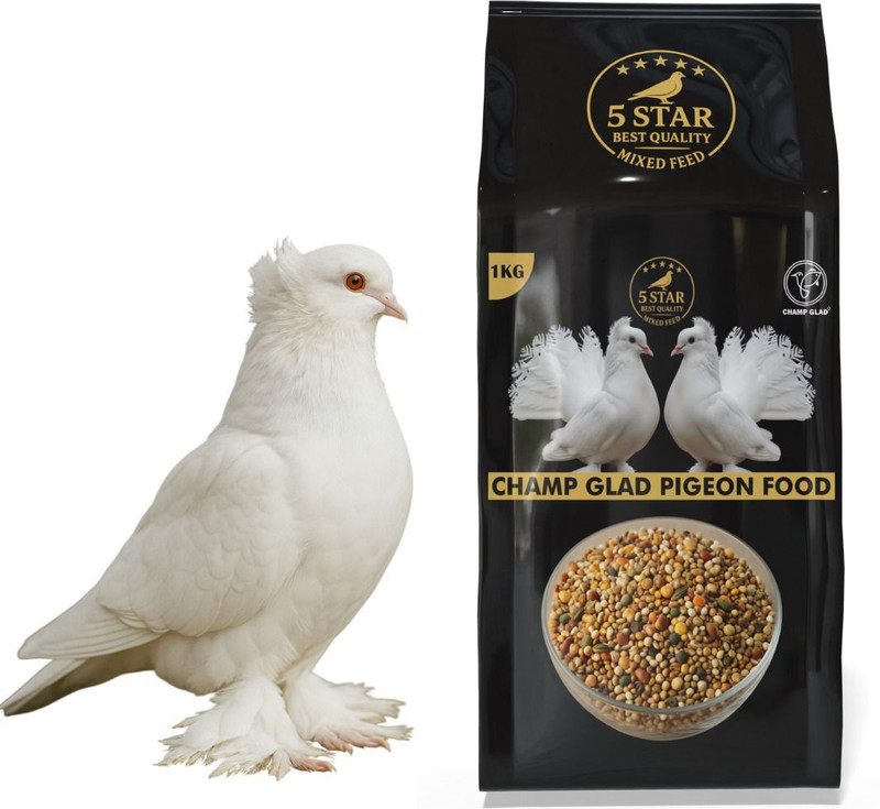 CHAMP GLAD CHAMP GLAD Premium Pigeon Mixed Seeds – 20-Grain High-Energy Blend 500g Nuts 1 kg Dry Adult Bird Food