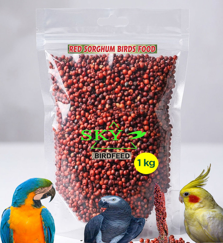 Sky Bird Natural Growth Foods Red Millet For cocktail dove,parrot,cockatoo,macaw Rice 1 kg Dry All Life Stages Bird Food