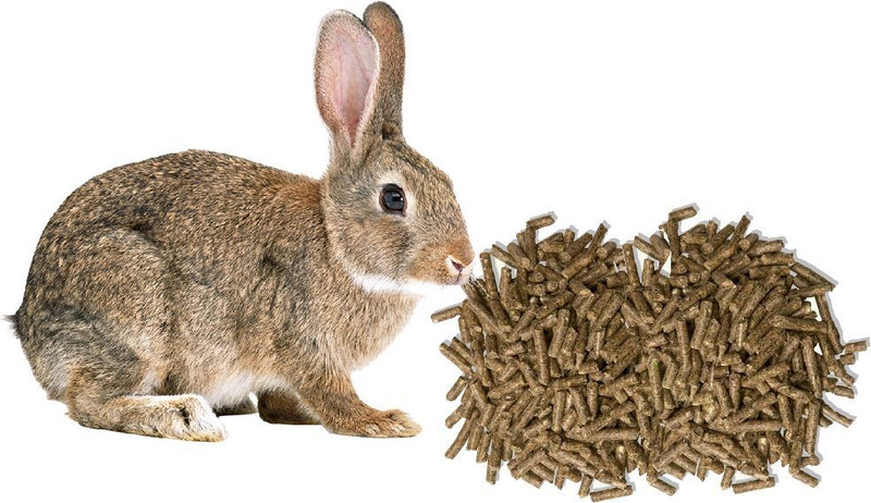 PMK Rabbit Food Pellet Highly Nutritious Diet Suitable for All Type Rabbit Vegetable Vegetable 0.25 kg Dry New Born, Adult, Senior, Young Rabbit Food