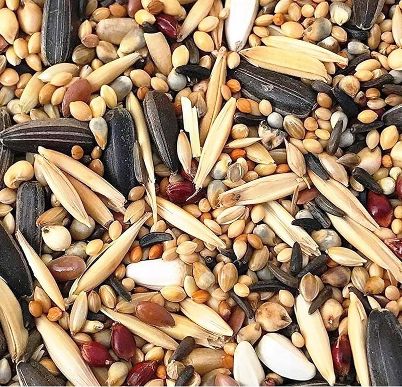 Pripton Premium Quality Bird Food for 11-15 Types of Seed Mix for Budgies, Cocktails Nuts 0.25 kg Dry Adult, Young, Senior, New Born Bird Food
