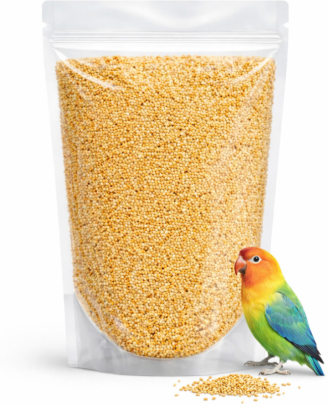 Blissful Products Yellow Millet Kangni Bird Food 1 Kg for all kind of Birds| 1 kg Dry Adult Bird Food