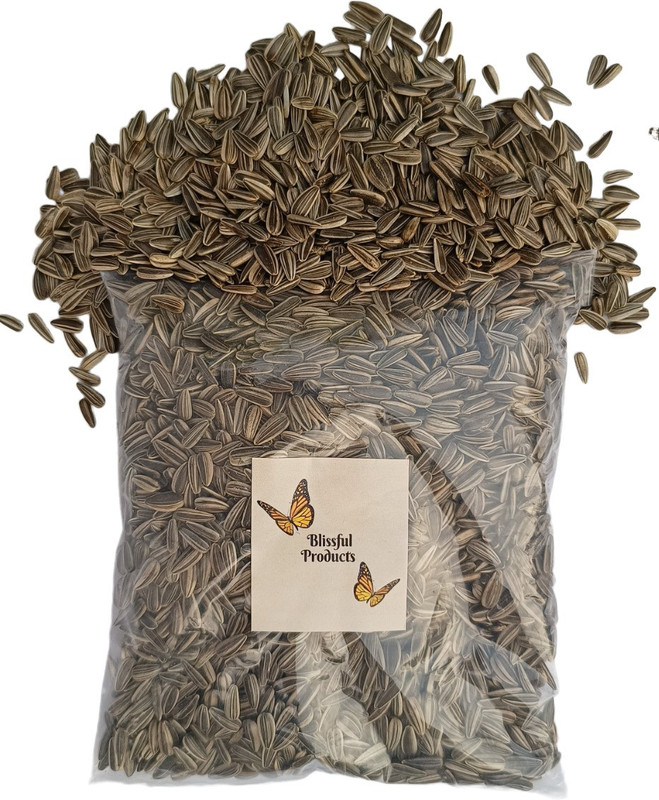 Blissful Products Large Size White Striped Nutrient Rich Sunflower Seeds 250 gm All Kind of Birds 0.25 kg Dry Adult Bird Food