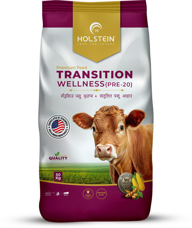 holstein Transition Wellness (PRE-20) Pre-Calving High Protein Cattle Feed, Calving Feed Vegetable 50 kg Dry Adult Cow Food