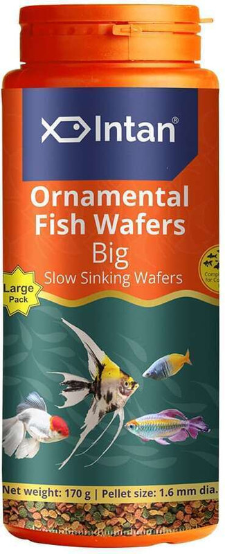 INTAN Ornamental Fish wafers Fish Food, for Health & Growth | Large Pack, 1.6 mm Dia 0.17 kg Dry Adult, Young Fish Food