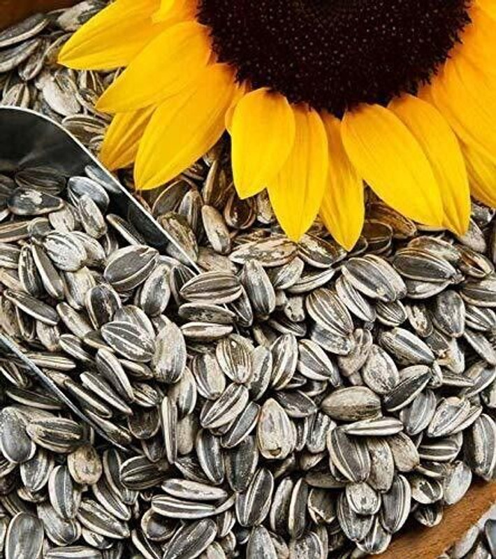 Optimum Product Sunflower Seed Bird FoodT Oats 1 kg Wet Adult, Young, Senior Bird Food