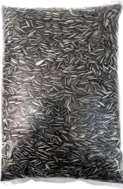 Parrots Wizard Small size Strip Sunflower seeds 0.9 kg Dry New Born, Young, Adult Bird Food