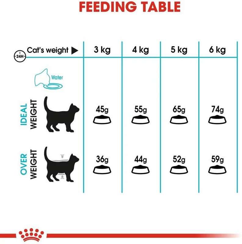 Royal Canin Royal Canin Fit 32 Adult Dry Cat Food - 400 gm Chicken 0.4 kg Dry Adult Cat Food