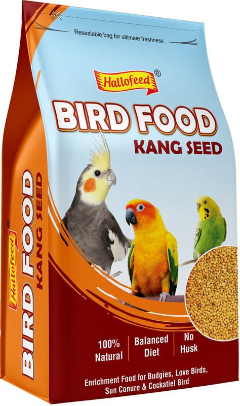 Hallofeed BIRD FOOD 500 gm (Kangni Seed) for Budgies 0.5 kg Dry Adult, Senior, Young Bird Food