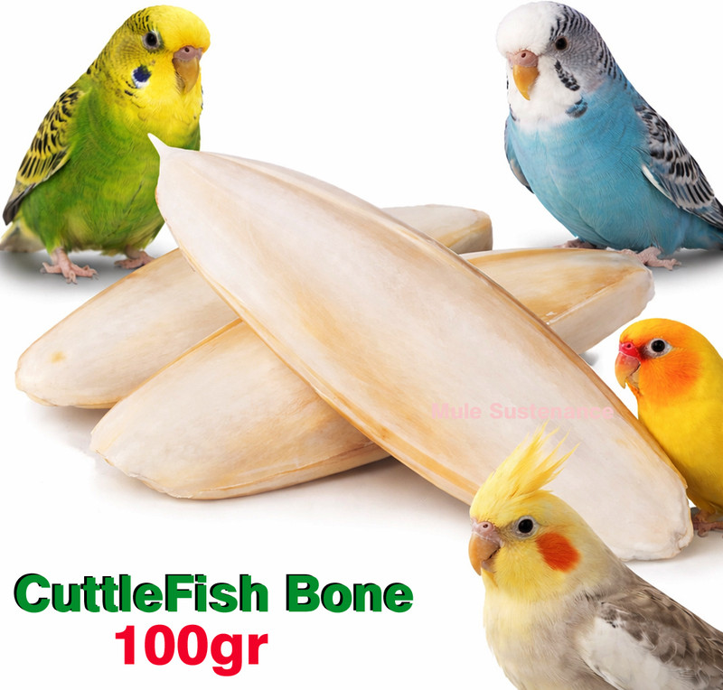 Mule Sustenance Store Cuttle FishBone For Budgies, Lovebirds, Cockatiels, Canaries, etc Birds Fish 0.1 kg (5x0.02 kg) Dry Adult, New Born, Senior, Young Bird Food