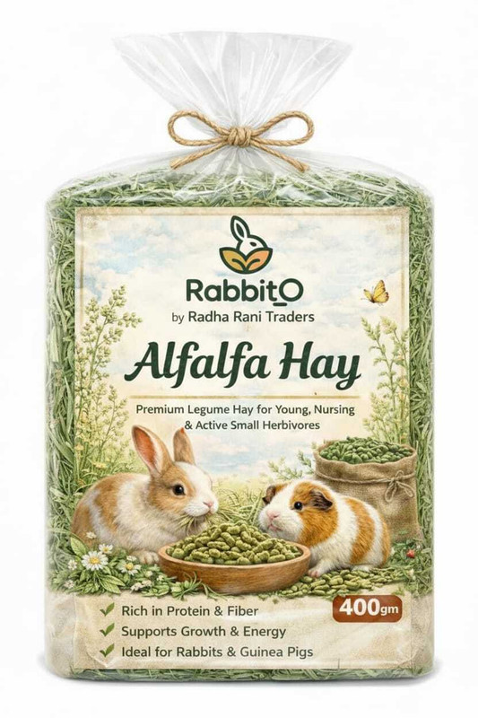 Rabbit_O Alfalfa Hay 0.8kg for Rabbit | Guinea Pig & Hamster | Vegetable 0.8 kg Dry Young, New Born Rabbit Food
