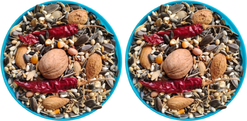 Birddy Seeds Mix Seed Bird Food for Parrots, Macaw, Sun Conure, African Grey Parrot, Alexande 7.5 kg (2x3.75 kg) Dry All Life Stages Bird Food