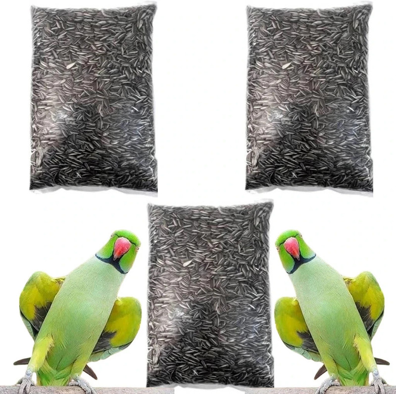 The Parrot Food Sunflower Seed for African Grey & Indian Ringneck Parrot, Macaw bird Nuts 2.7 kg Dry Adult, Young, Senior Bird Food