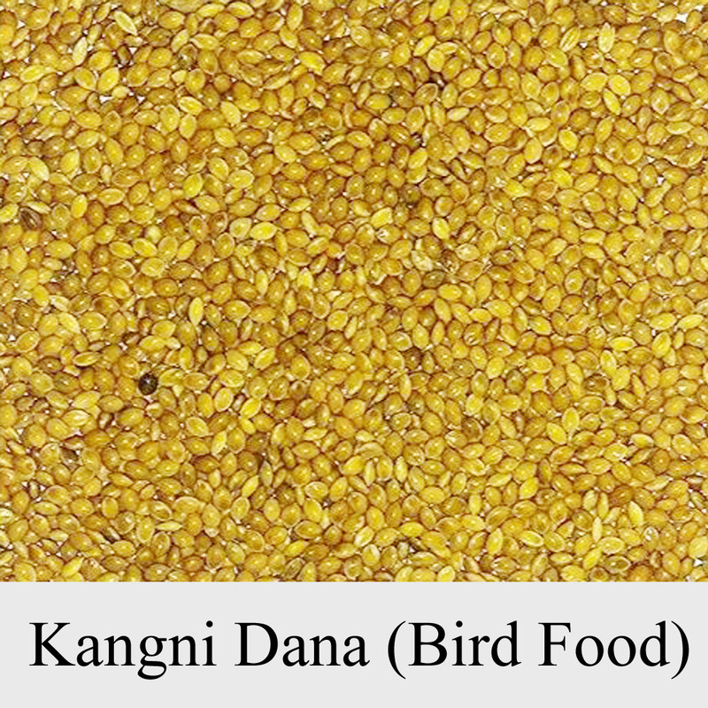 Mule Sustenance Store Kangni Dana For Budgies, Lovebirds, Cockatiels, Canaries, Finches etc 0.4 kg Dry Adult, Young, Senior, New Born Bird Food