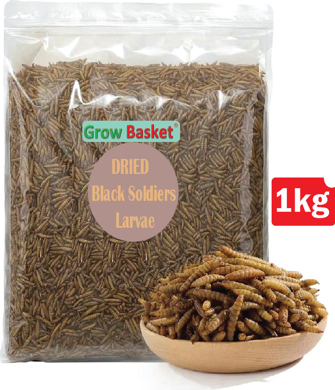 Grow Basket Dried Black Soldier Fly Larvae for , ,, turtle 40% Protein Mealworm, Meat 1 kg Dry Adult, New Born, Senior, Young Fish Food
