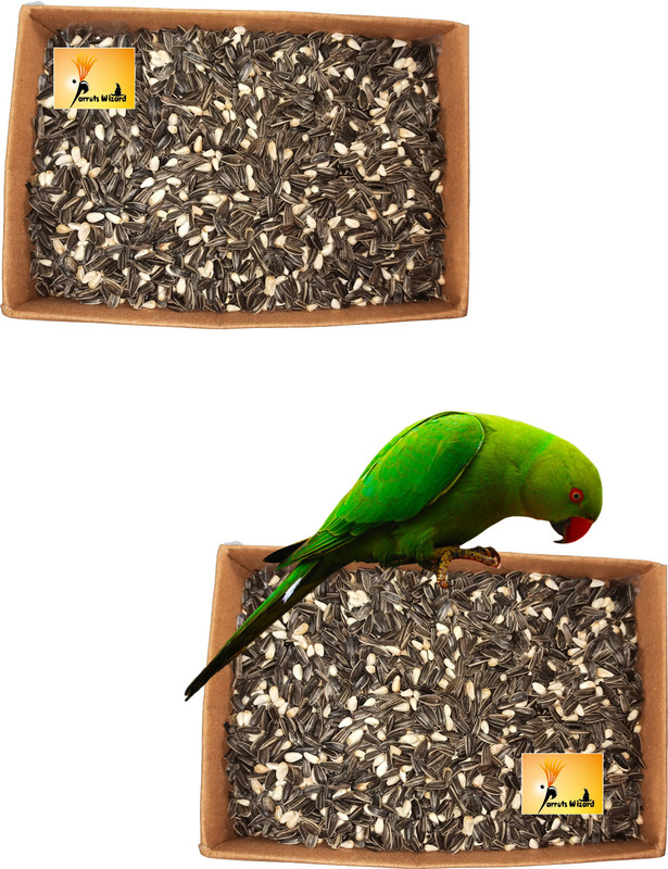 Parrots Wizard Combo Sunflower & Safflower Seeds 1.8 kg (2x0.9 kg) Dry Adult Bird Food