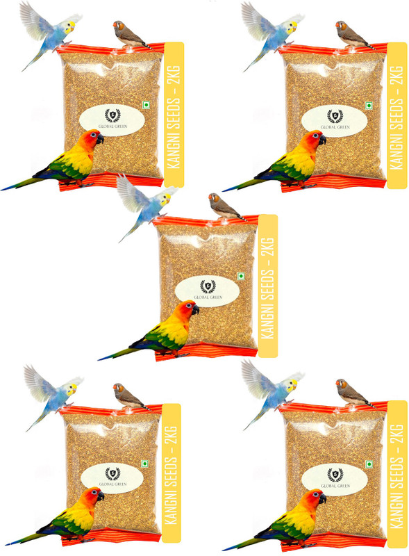 GLOBAL GREEN Premium Foxtail Millet (Kangni Seeds) 10Kg Nuts 10 kg (5x2 kg) Dry Adult, New Born, Senior, Young Bird Food