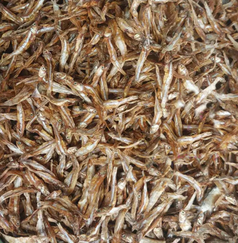 Retail Charms 100g Dry Fish Seafood Anchovy Dry Fish | Nethili Karuvadu,Dry Fish Anchovy Fish 0.1 kg Dry Young Dog & Cat Food