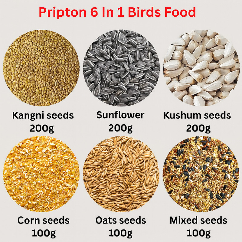 Pripton 6 In 1 Combo, Kangni, Sunflower Seeds, Kusum Dana, Corn, Oats, Mixed seeds Nuts, Rice, Vegetable, Oats 0.9 kg Dry Adult, Young, Senior, New Born Bird Food