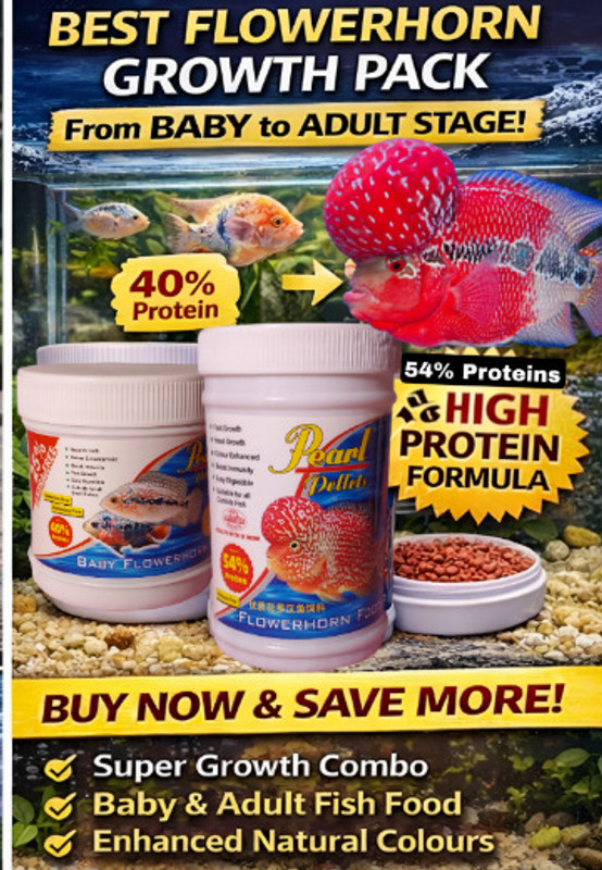 pearl pellets Flowerhorn Growth Pack | Baby Flowerhorn Food + Flowerhorn Pellets Fish 0.15 kg (2x0.07 kg) Dry All Life Stages, Adult, New Born Fish Food