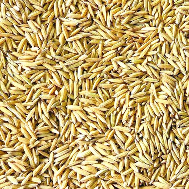 Sky Bird Foods Paddy Rice 1 KG Rice 1 kg Dry Adult, Young Bird Food