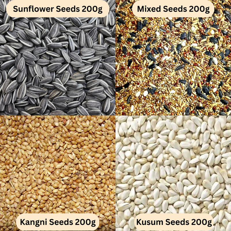 Pripton 6 In 1 Combo, Kangni, Sunflower Seeds, Kusum Dana, Corn, Oats, Mixed seeds Nuts, Rice, Vegetable, Oats 0.9 kg Dry Adult, Young, Senior, New Born Bird Food