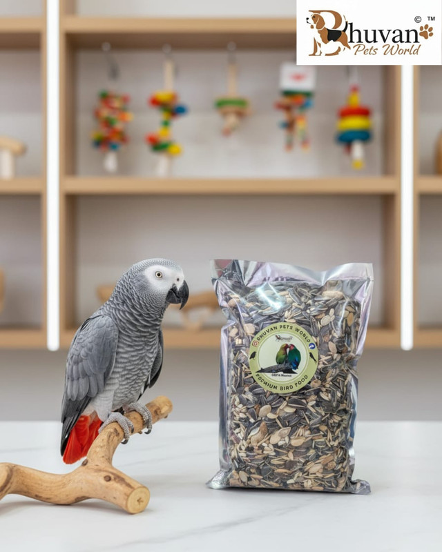 Bhuvan Pets World Big Parrots Mix Seeds For Macaw, African Grey, Cockatoo etc Nuts 0.8 kg Dry Adult, Young, Senior Bird Food