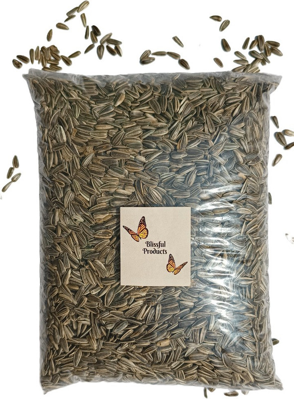 Blissful Products Special Mix Seeds Bird Food 11 Types of Nutrient Rich seed for All Kind of Birds 1 kg Dry Adult Bird Food