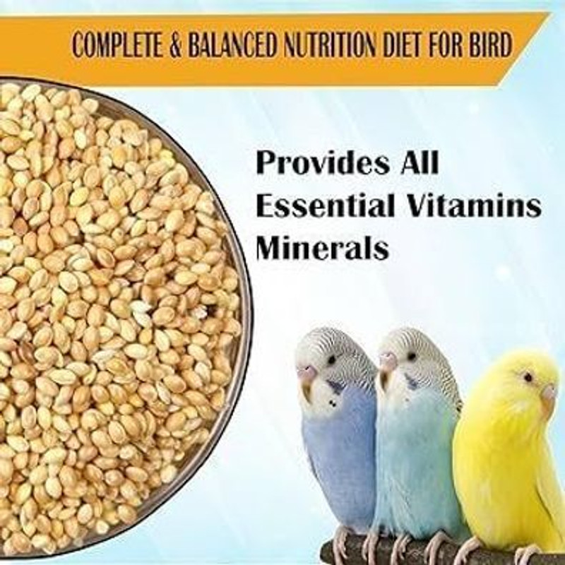 Bird feed ​Premium Kangni Seeds for Birds (Foxtail Millet) - 100% Natural Bird Food 1.8 kg Dry Adult, Young Bird Food