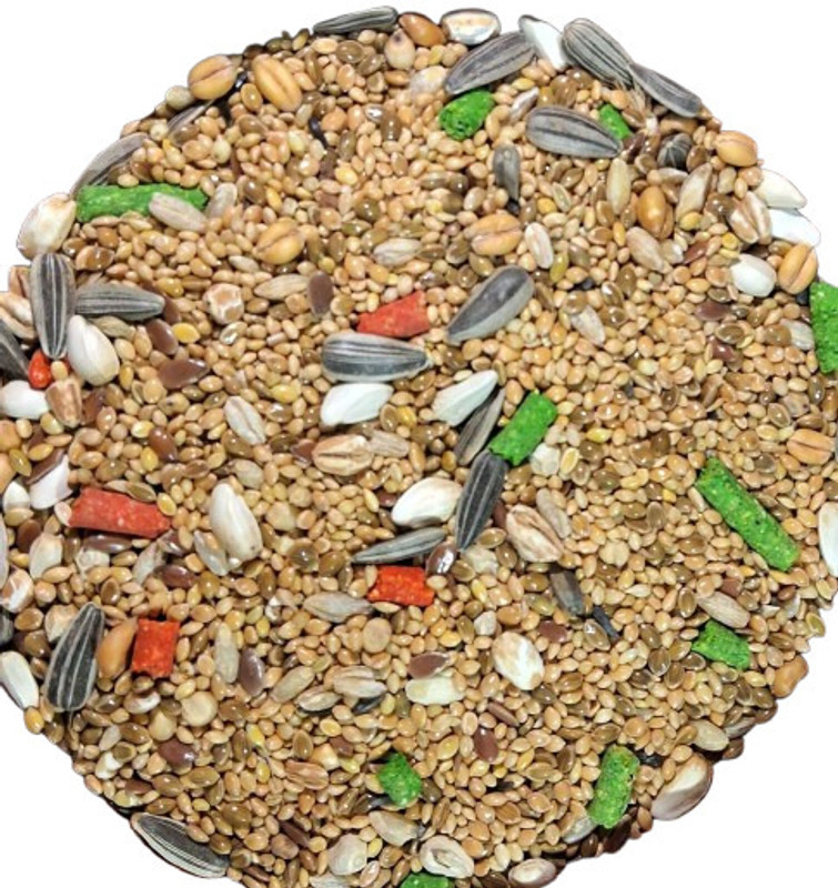 Jimmy seed mix for budgies, cockatiel, lovebird & finch bird food 5 kg pack 5 kg Dry Adult Bird Food